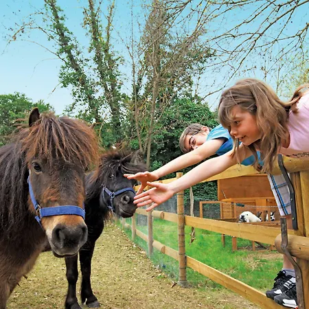Club Bleues Domaine De Château Laval Station touristique