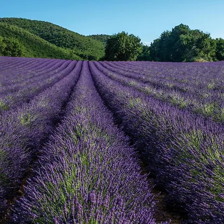 Resort Club Bleues Domaine De Chateau Laval