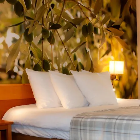 Üdülőközpont Club Bleues Domaine De Chateau Laval Gréoux-les-Bains