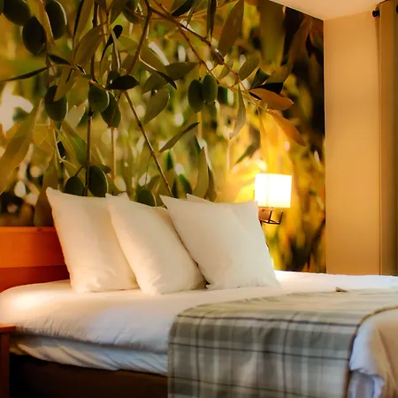 Club Bleues Domaine De Chateau Laval Resort