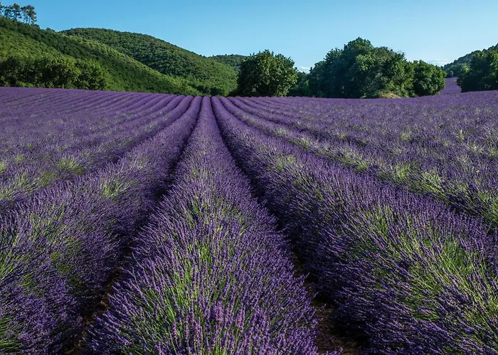 Resort Club Bleues Domaine De Chateau Laval