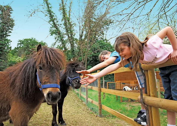 Club Bleues Domaine De Château Laval Station touristique
