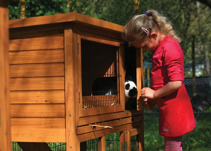 Resort Club Bleues Domaine De Chateau Laval 3*